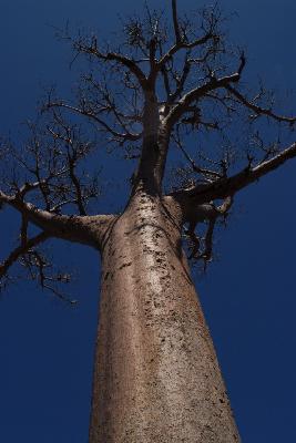 DSC_0021_0 