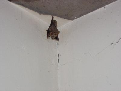 Img2005-07-20-00003c 